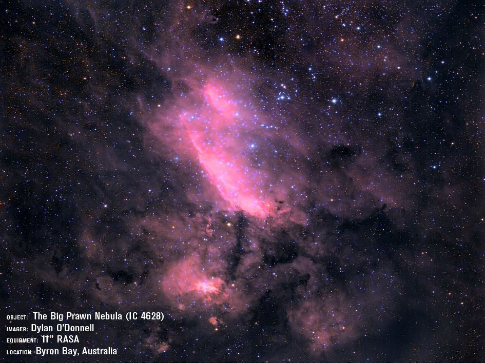 Celestron CGX-L 1100 Rowe-Ackermann Schmidt Astrograph (RASA) Equatorial Telescope (12074)